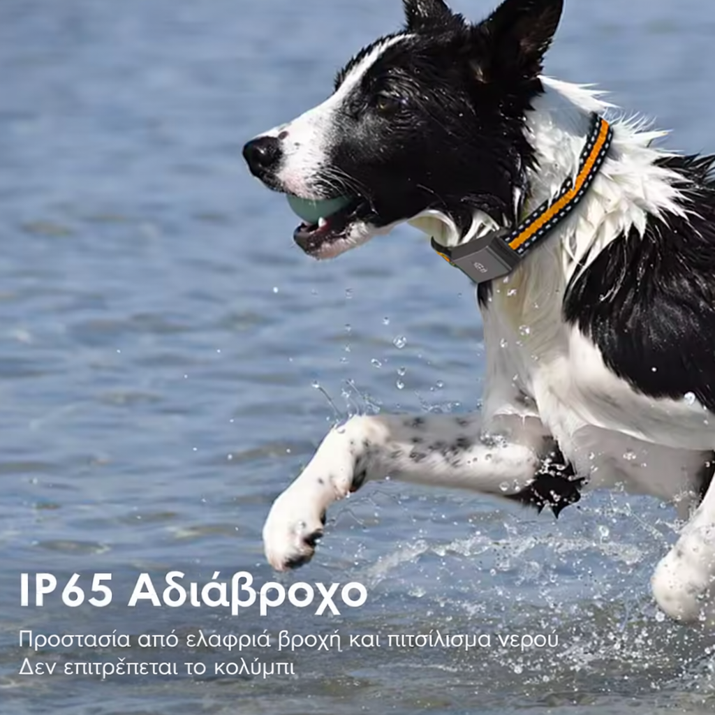GPS Κολάρο Κατοικιδίων Tracker IP67 Αδιάβροχο Real Time