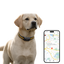 GPS Κολάρο Κατοικιδίων Tracker IP67 Αδιάβροχο Real Time