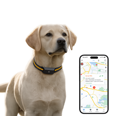 GPS Κολάρο Κατοικιδίων Tracker IP67 Αδιάβροχο Real Time