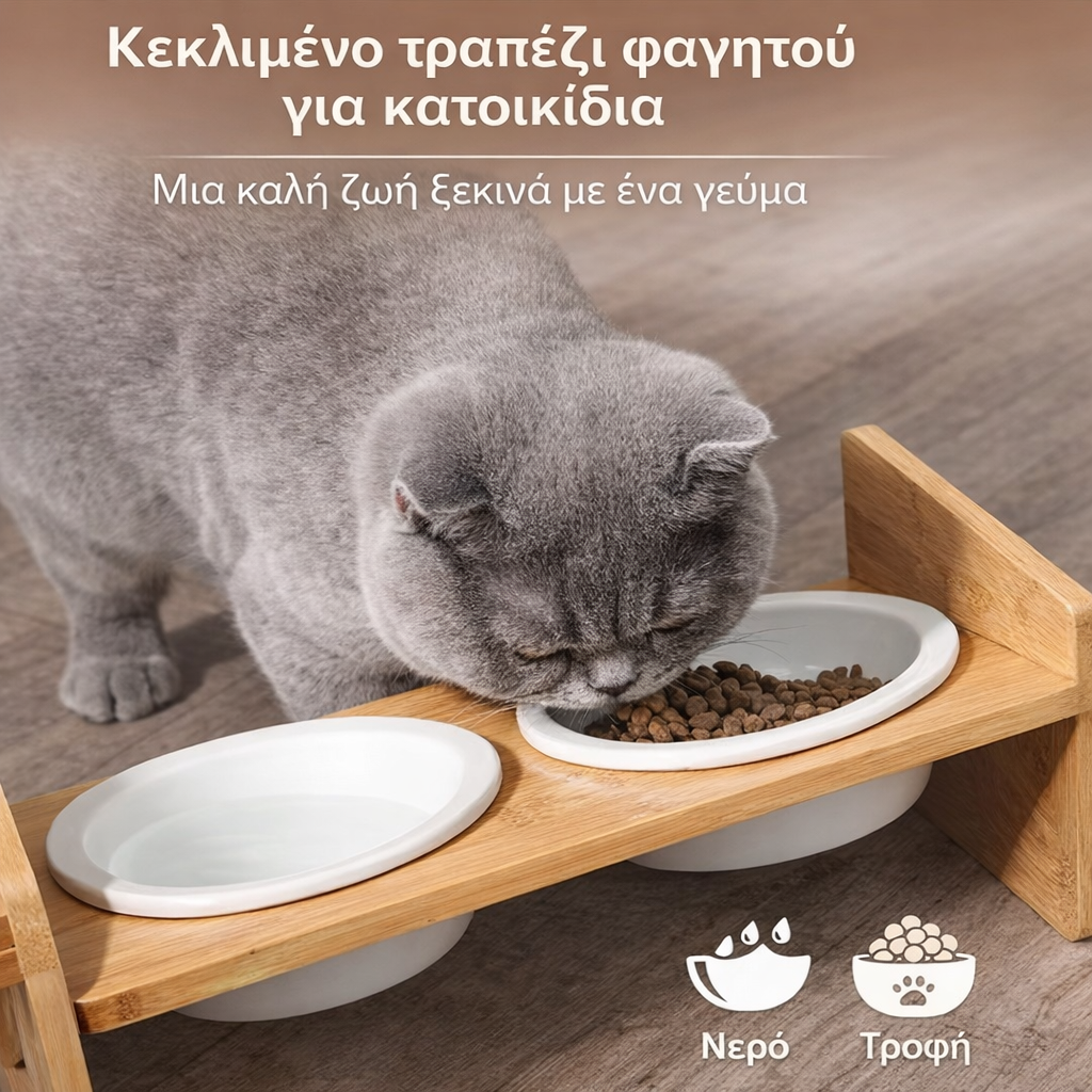 Υπερυψωμένο Μπολ Φαγητού Κατοικιδίων από Μπαμπού με Κεραμικά Μπολ
