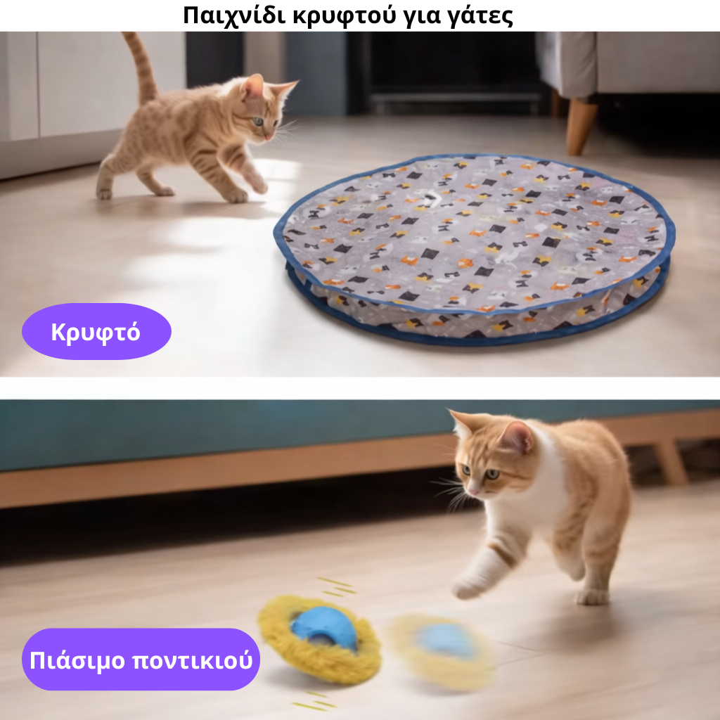 Διαδραστικό Παιχνίδι Γάτας Hide & Seek με Αυτόματη Μπάλα